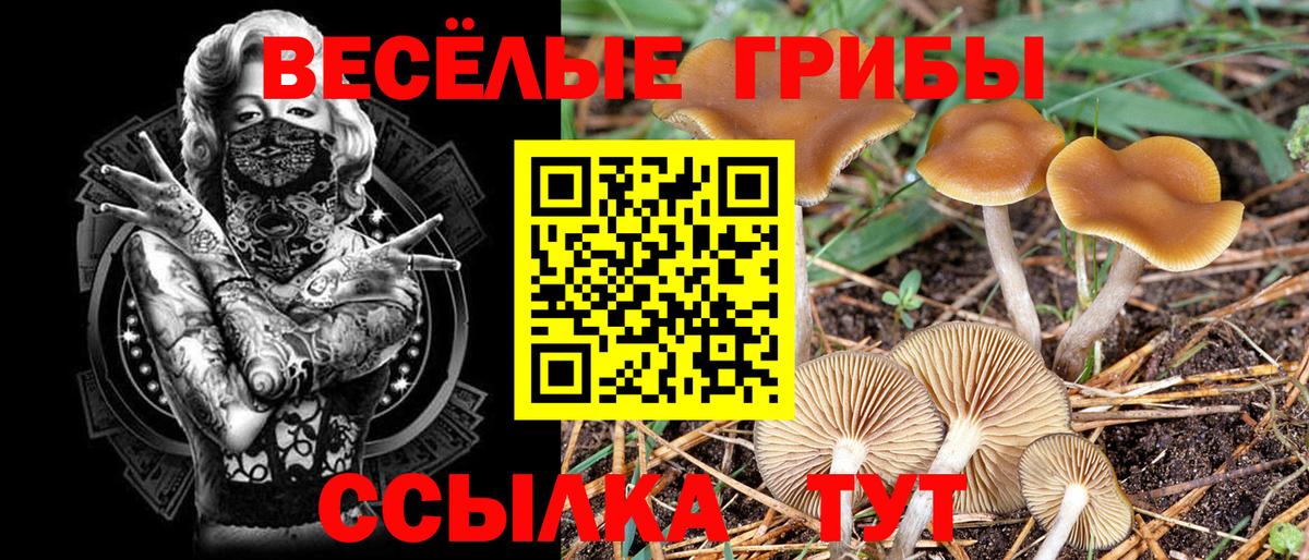Псилоцибиновые грибы GOLDEN TEACHER Старая Русса